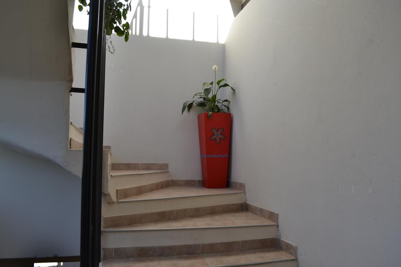 Guest House Jujuy 圣萨尔瓦多德朱 外观 照片