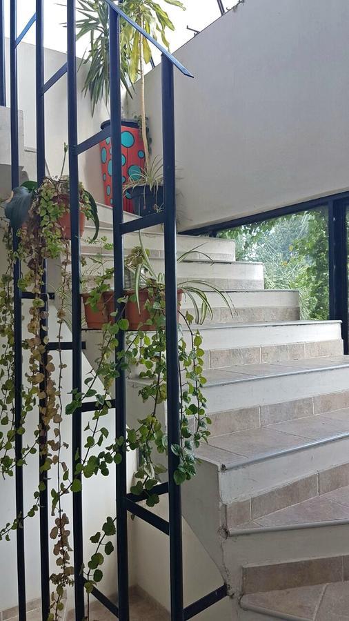 Guest House Jujuy 圣萨尔瓦多德朱 外观 照片