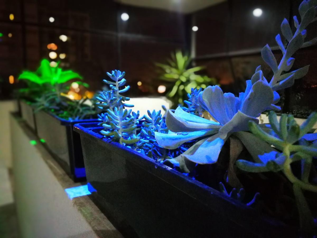 Guest House Jujuy 圣萨尔瓦多德朱 外观 照片